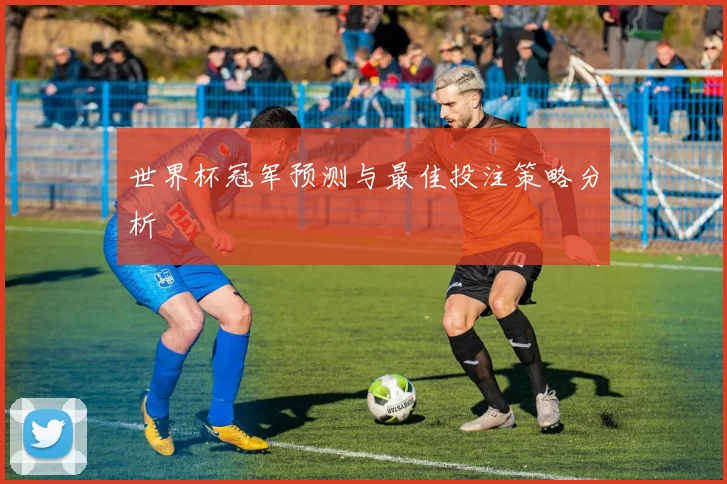 世界杯冠军预测与最佳投注策略分析