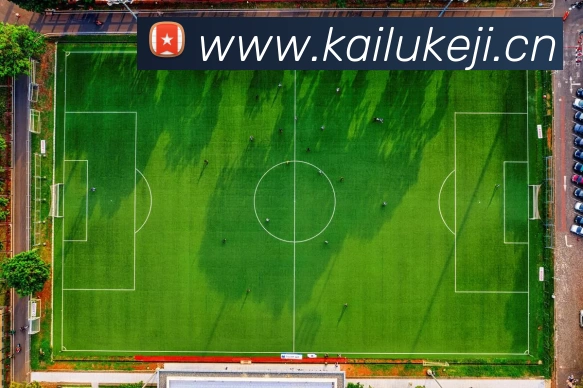 尊龙凯时 - 中国官方网站品牌故事