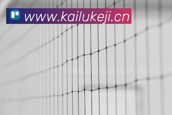 尊龙凯时 - 中国官方网站服务体系